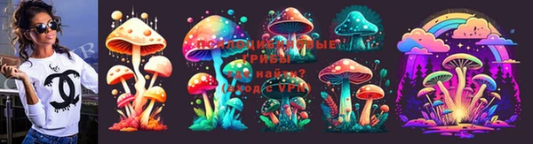 apvp Верея
