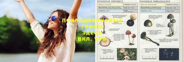 кокаин VHQ Иноземцево