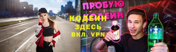 индика Фёдоровский