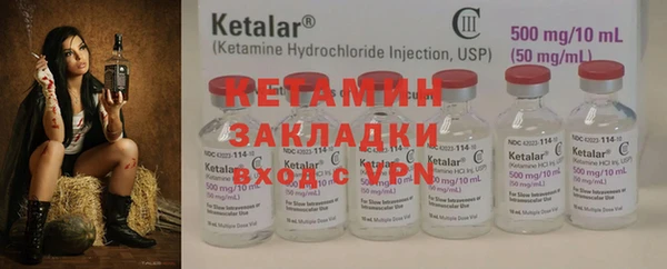 индика Фёдоровский