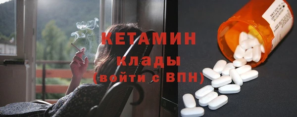 стаф Бородино