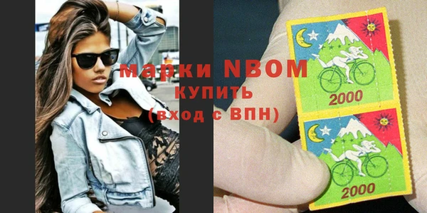 стаф Бородино