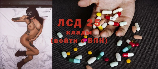 apvp Верея
