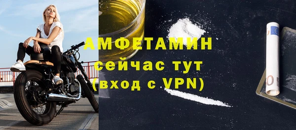 индика Фёдоровский