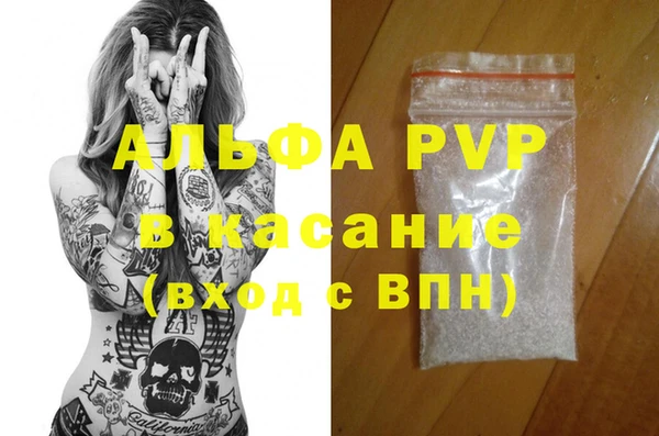 стаф Бородино