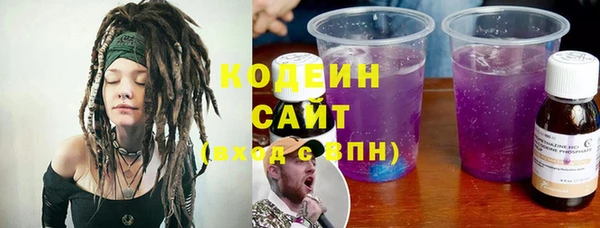 индика Фёдоровский