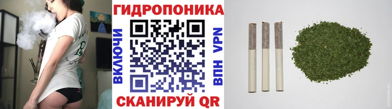 магазин продажи наркотиков  МЕГА ONION  Шишки марихуана THC 21%  Волчанск 